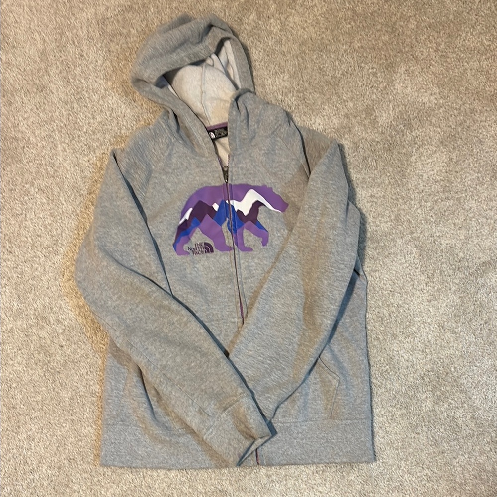 The North Face Gray Hoodie with Bear Graphic